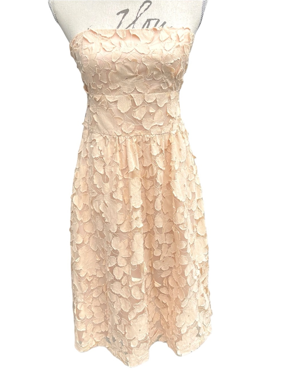 Sweet Chemise Champagne Cotton Strapless Floral Applique Midi Dress (8)
